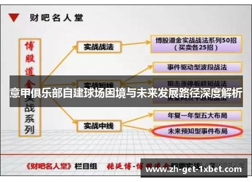 意甲俱乐部自建球场困境与未来发展路径深度解析