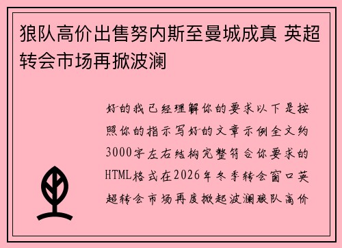 狼队高价出售努内斯至曼城成真 英超转会市场再掀波澜